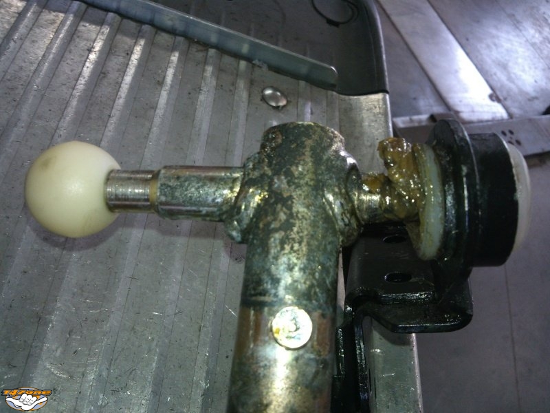 TRINGL 30.jpg