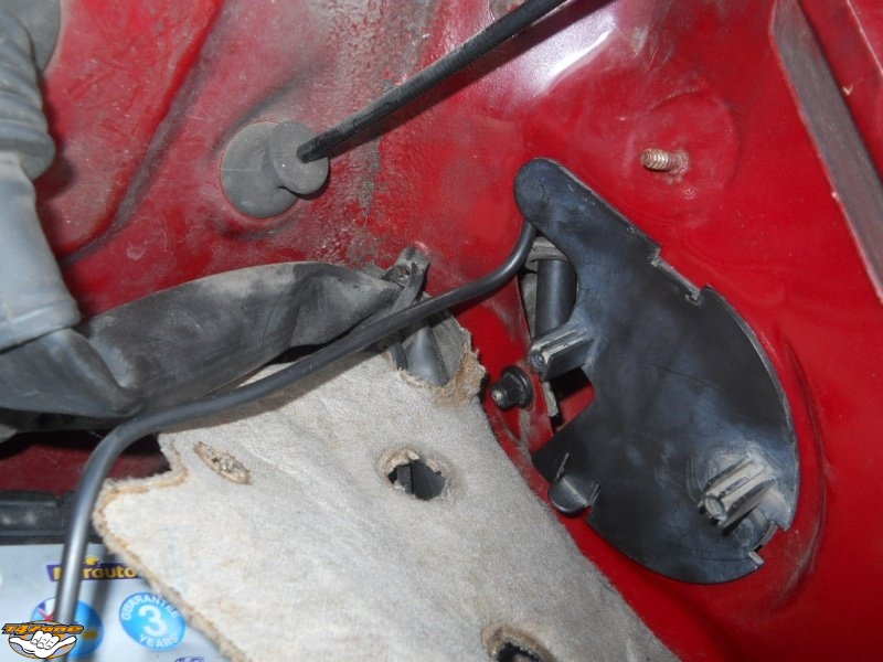 ANTAIL 07.jpg