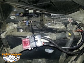Batauxmult 03.jpg