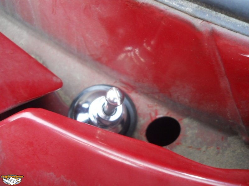 ANTAIL 06.jpg