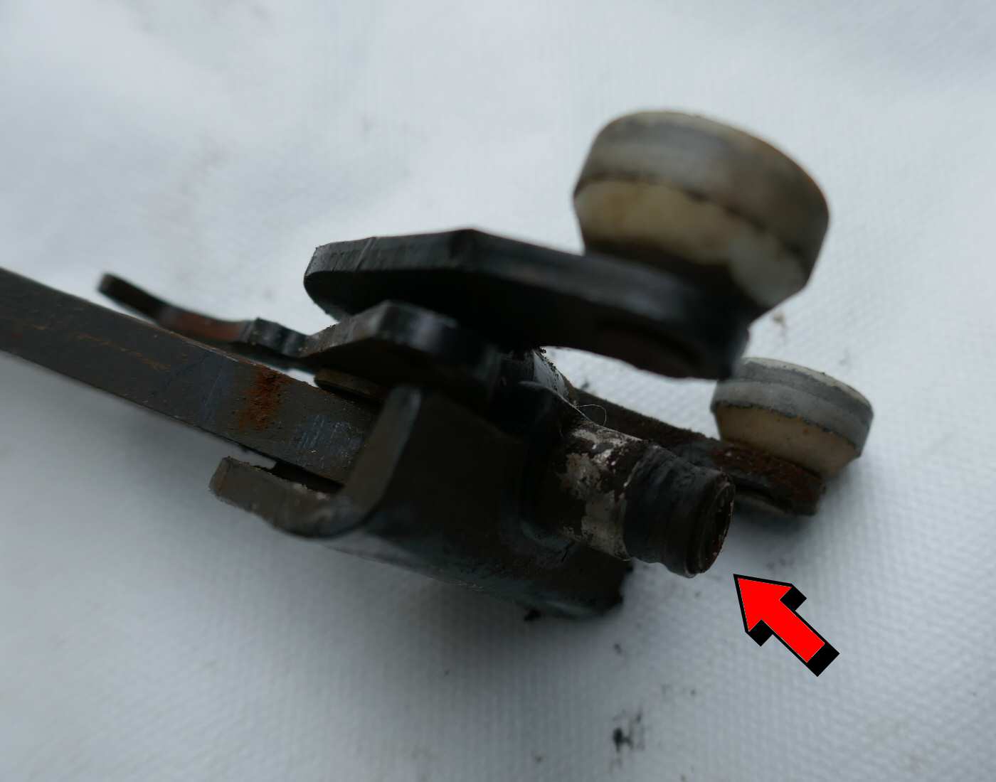 PLATT5DEM 01.jpg