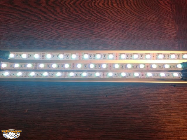 Convneonled 06.jpg