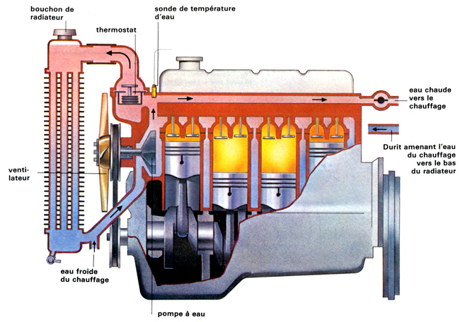 Bt 02.jpg