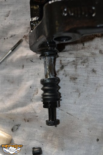RENEWCALIPERS 19.jpg