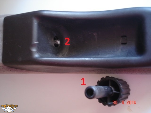 ACCPTMOL 05.jpg
