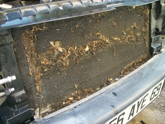 MAJT1DIST 14.jpg