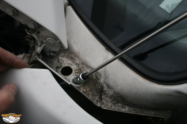 ANTTEL 08.jpg