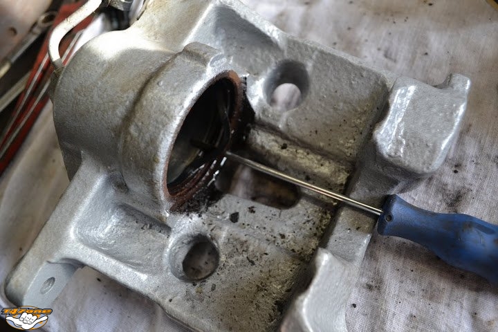 RENEWCALIPERS 08.jpg