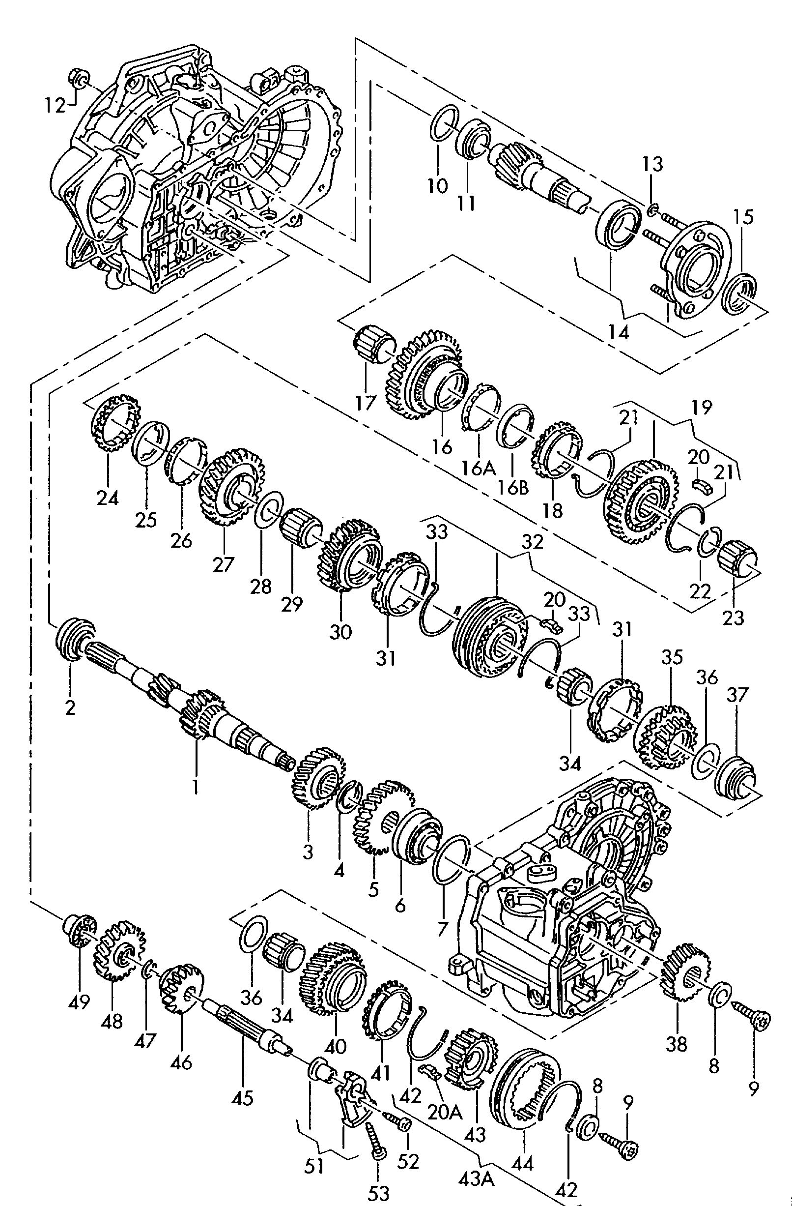 PIGNO5020 01.jpg