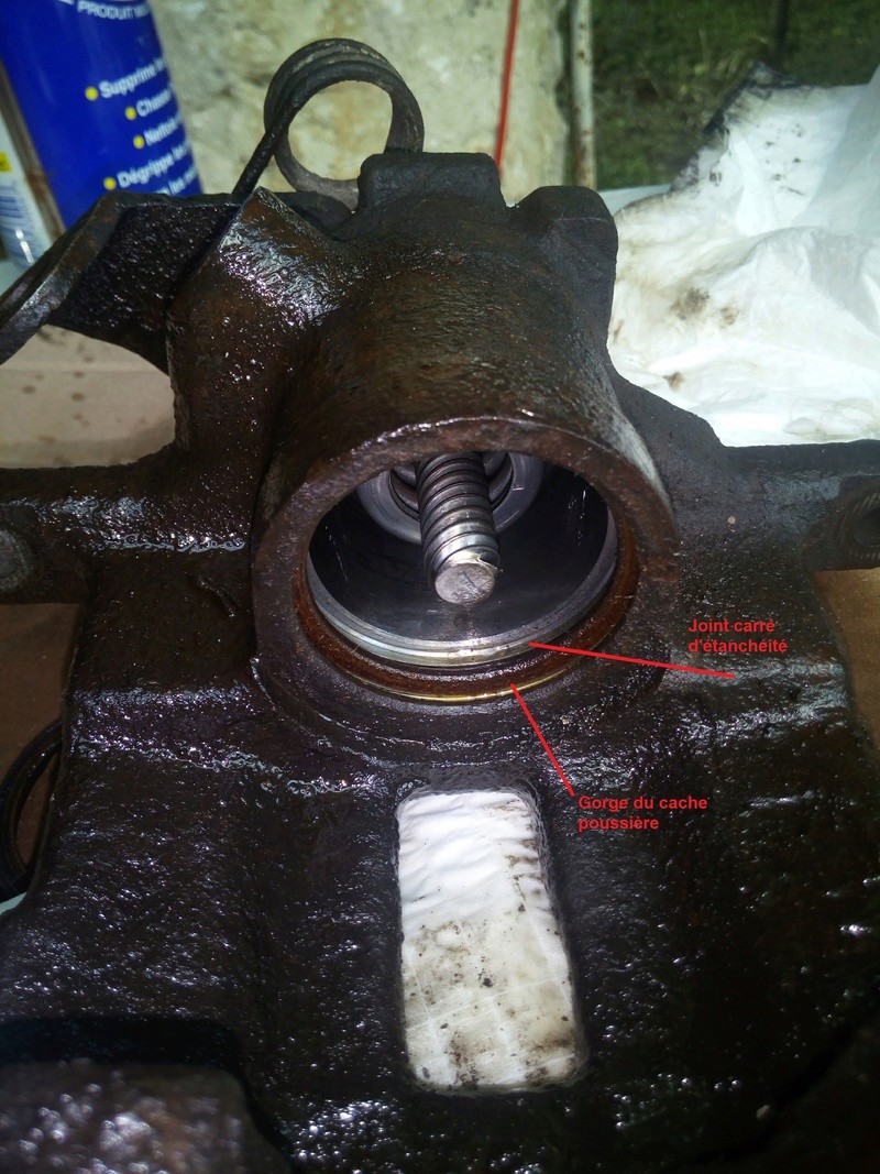 CACHPOUSS 18.jpg