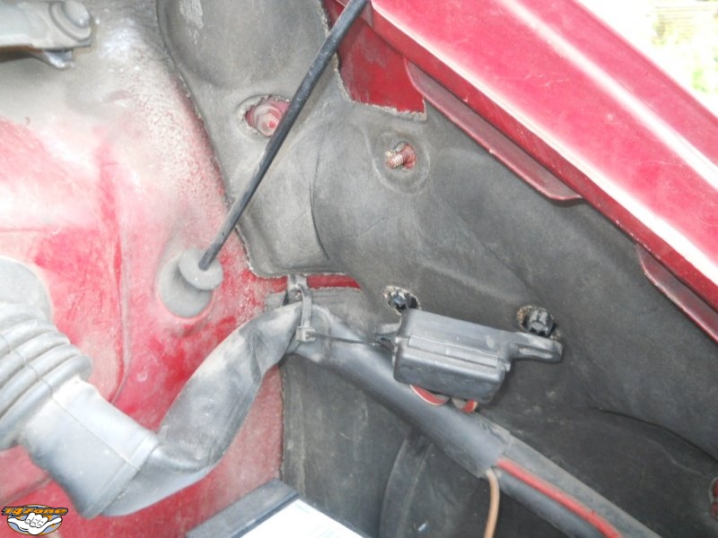 ANTAIL 01.jpg