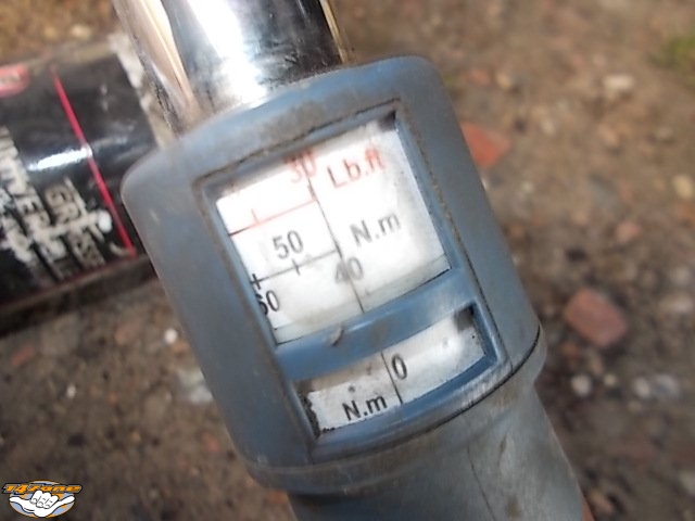SUPBRFREIN 26.jpg