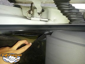 Batauxmult 05.jpg