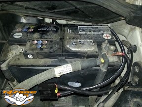 Batauxmult 02.jpg