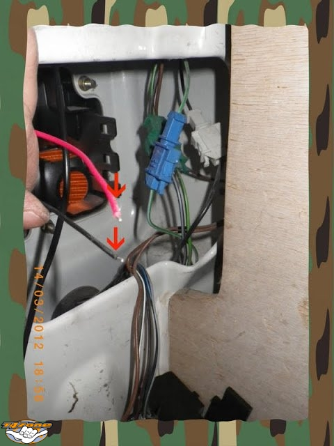 Photo 8.png
