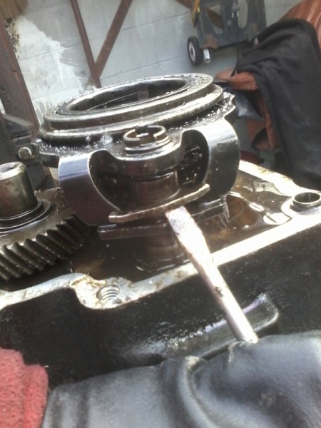 Fichier:PIGNO5020 10.jpg