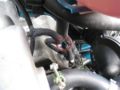 012-Waeco MS50.jpg