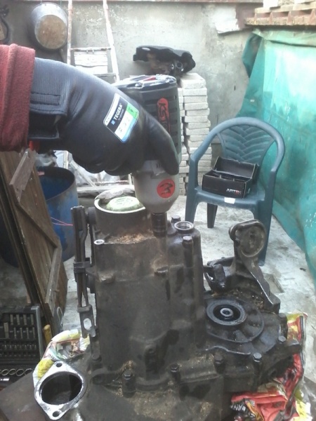 Fichier:PIGNO5020 02.jpg