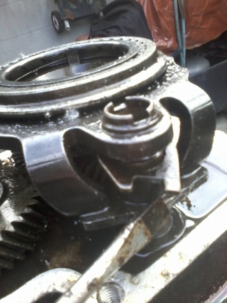 Fichier:PIGNO5020 11.jpg