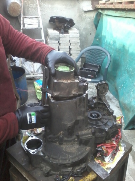 Fichier:PIGNO5020 03.jpg